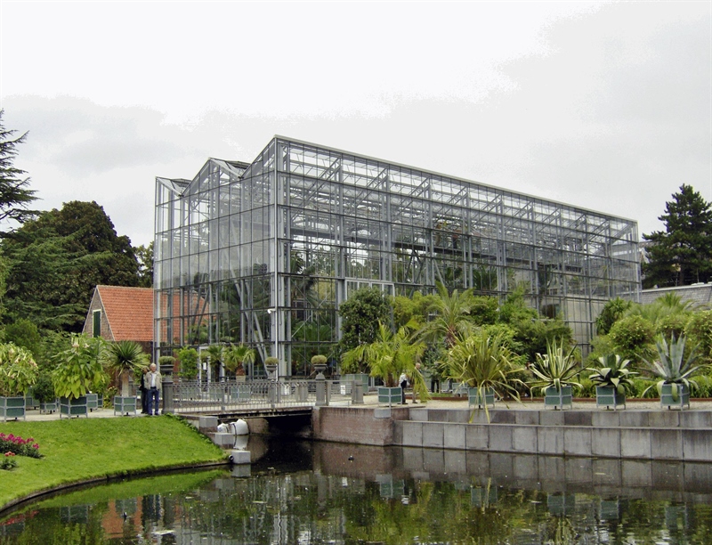 Hortus Botanicus Leiden | Leiden, Netherlands | Travel BL