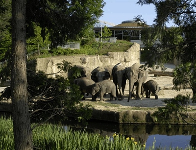 Koelner Zoo | Cologne, Germany | Travel BL