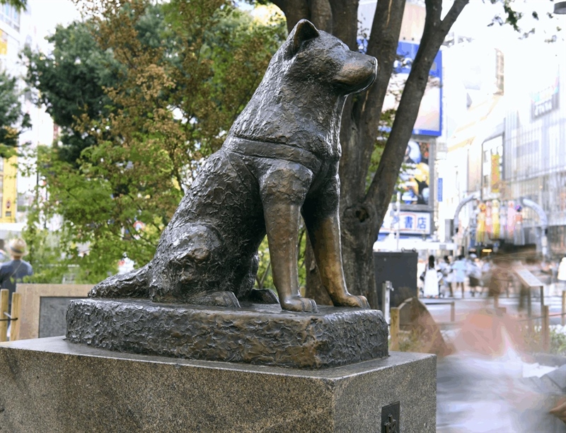 Hachiko monument | Tokyo, Japan | Travel BL